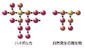 図版