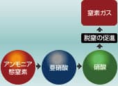 図版